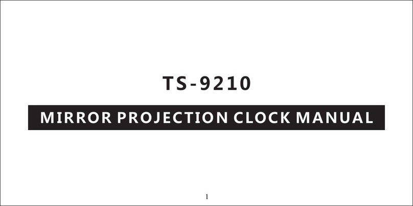 Sunsky TS-9210 User manual