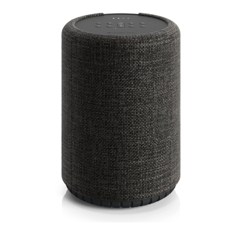 Audio Pro G10 manual