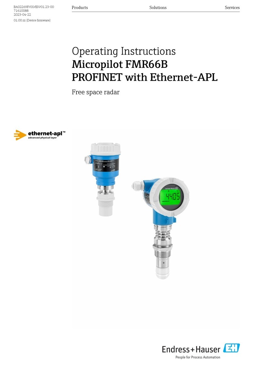 Endress+Hauser Micropilot FMR66B User manual