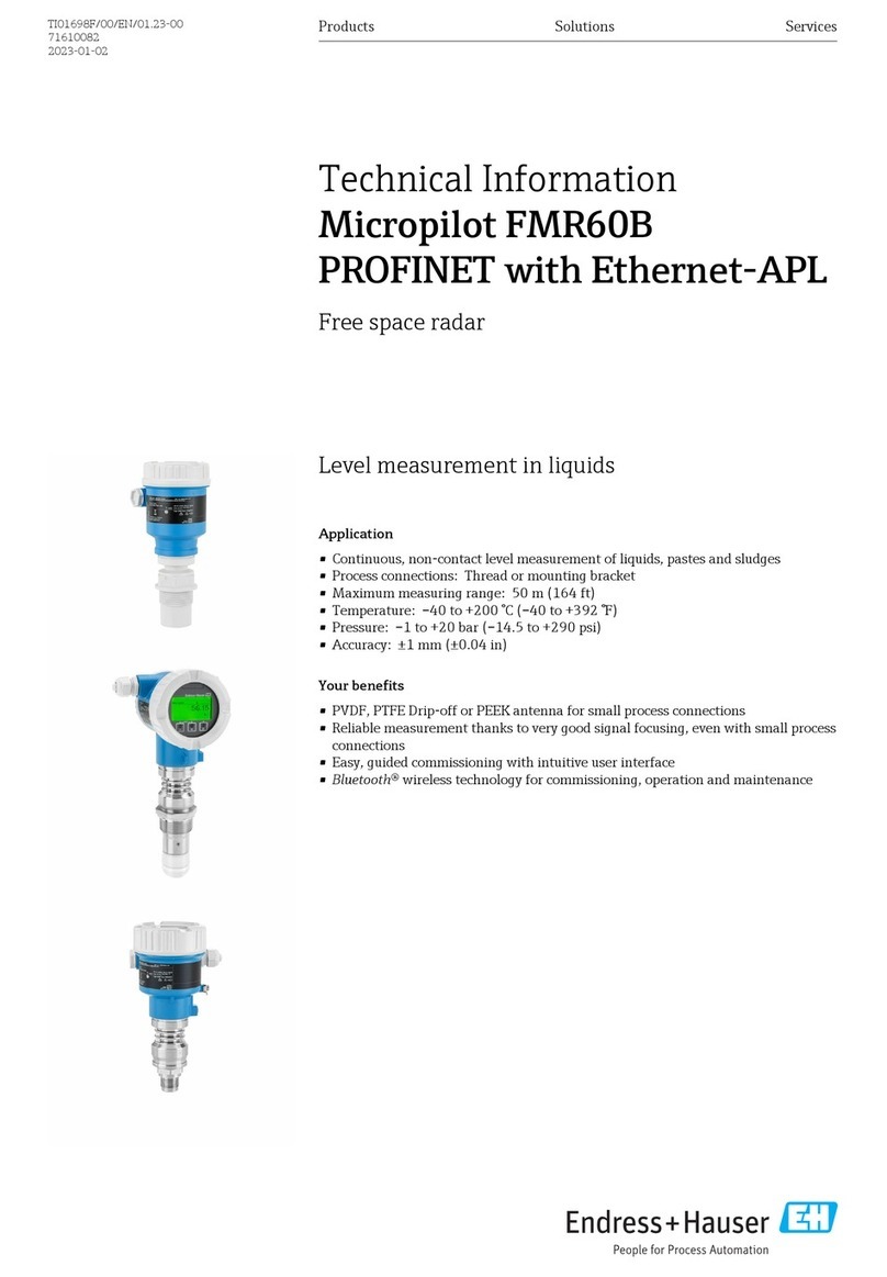 Endress+Hauser Hart Micropilot FMR60B Manual