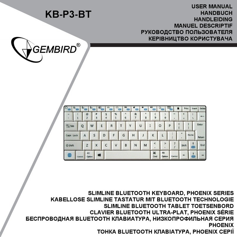 Gembird PHOENIX Series User manual