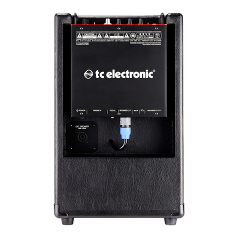 TC Electronic BG250-208 quick start guide