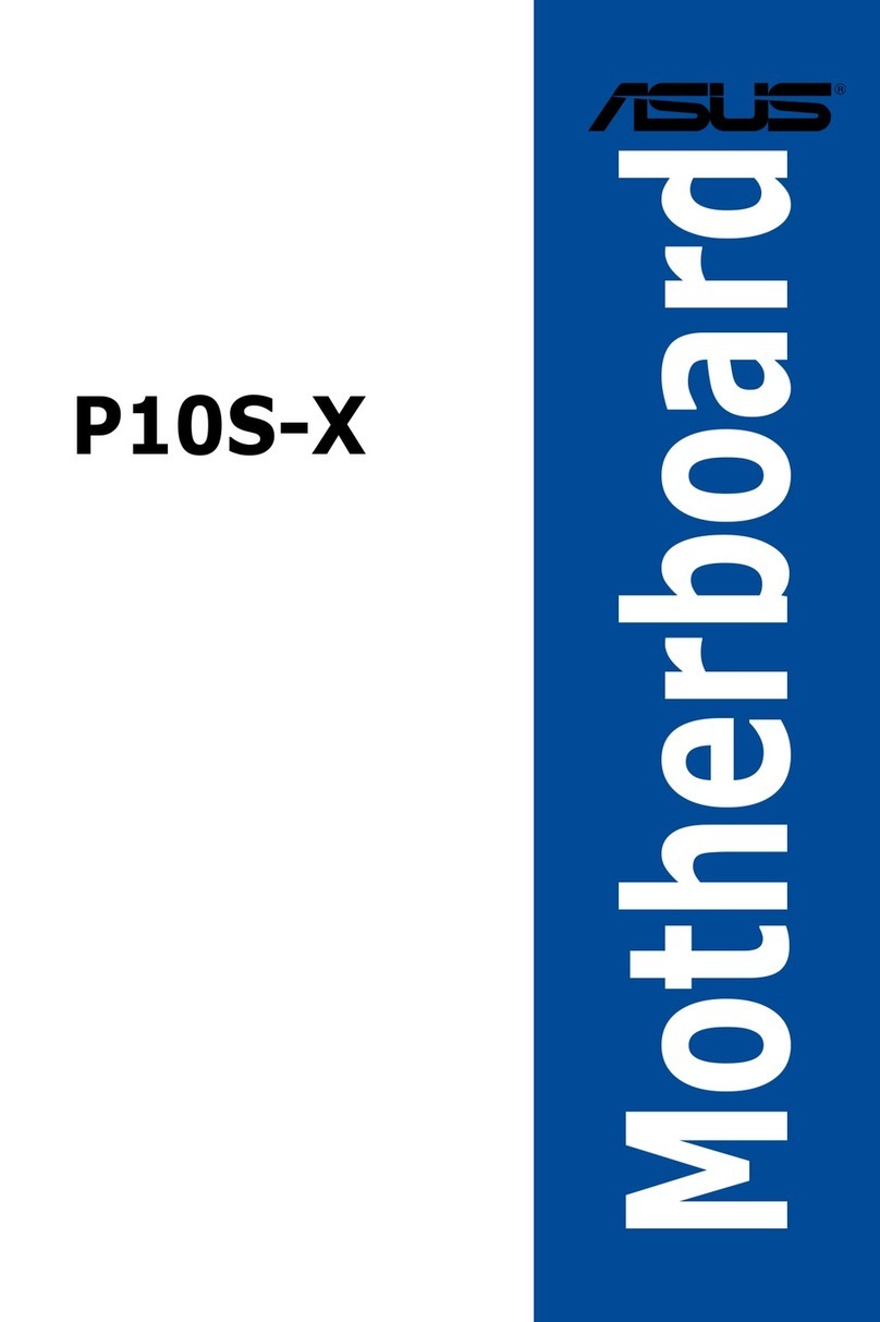 Asus P10S-X manual