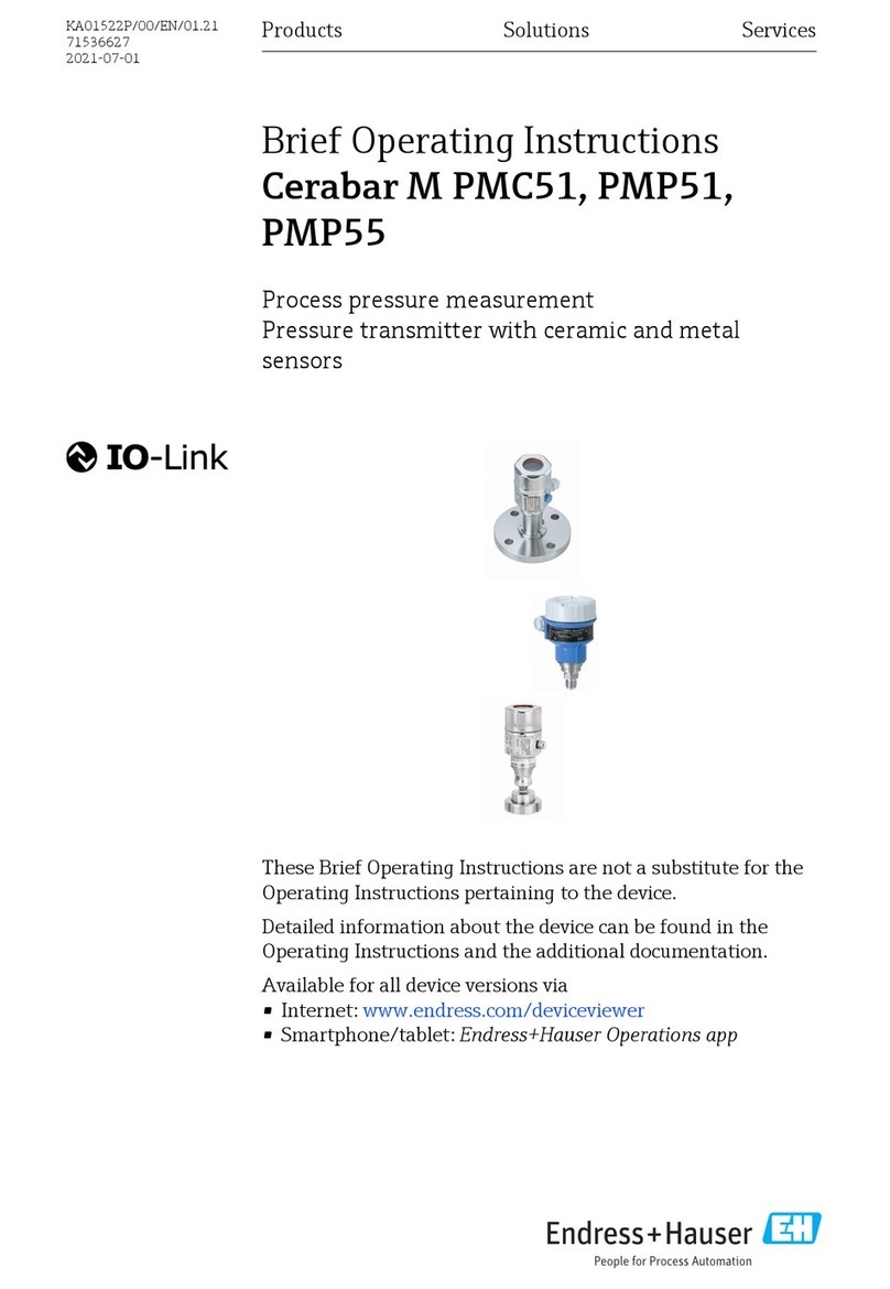 Endress+Hauser Cerabar M PMC51? Cerabar M PMP51 Technical specifications
