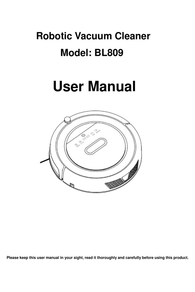 Blaupunkt BL809 User manual