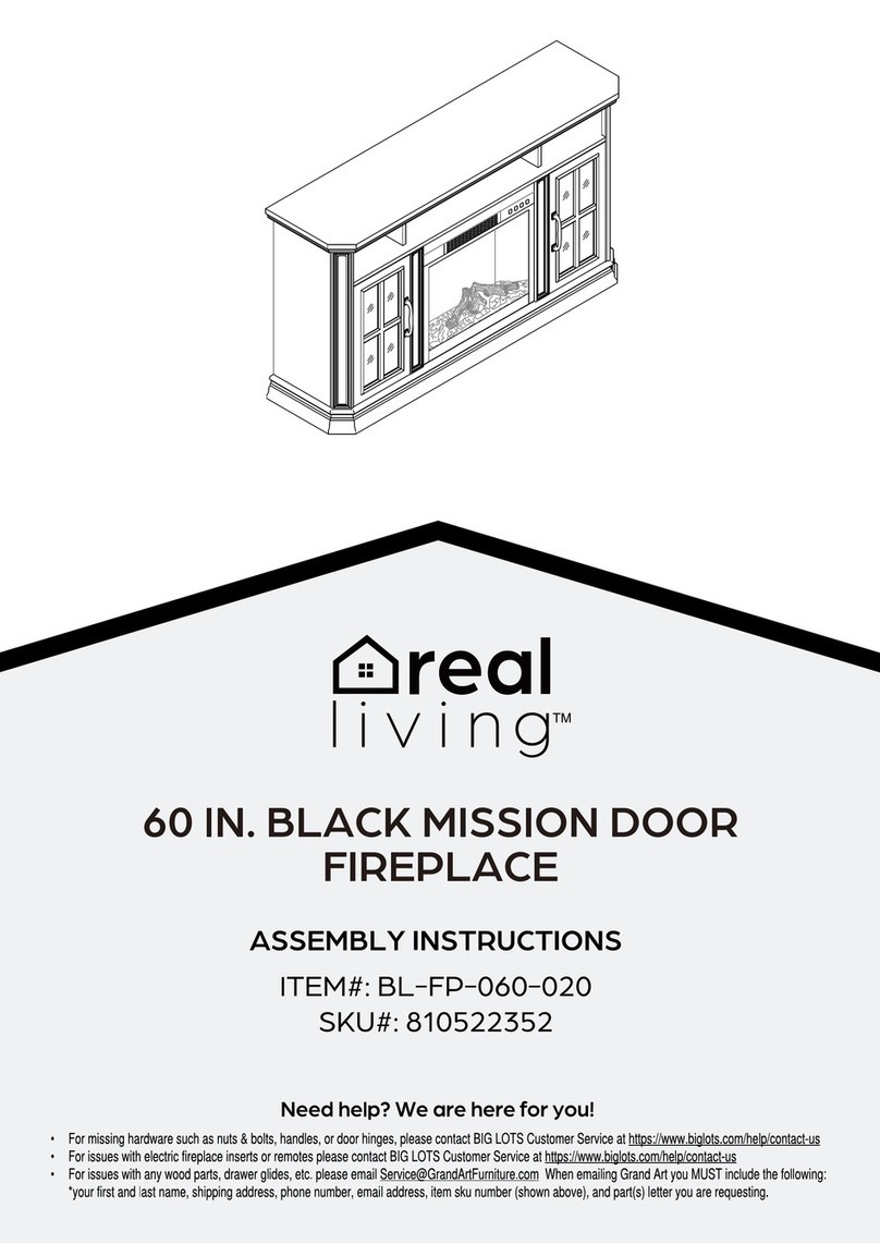 real living BL-FP-060-020 User manual