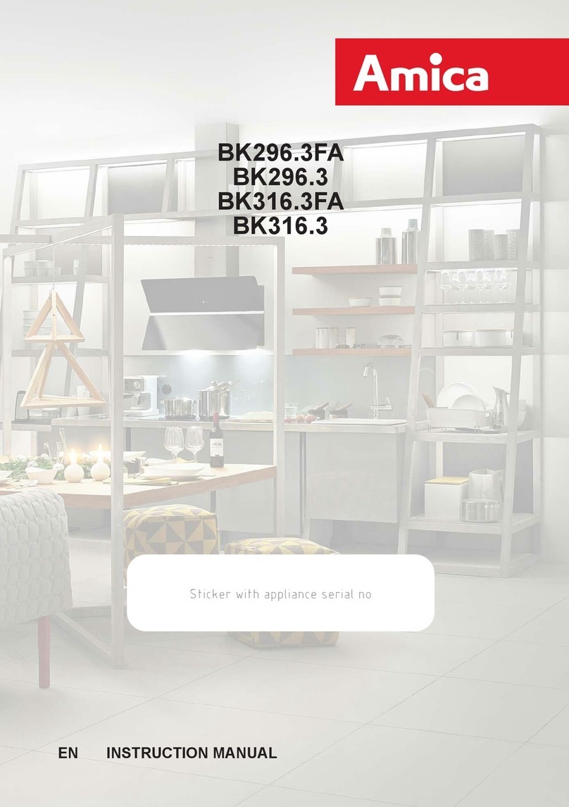 Amica BK296 3FA Series User manual