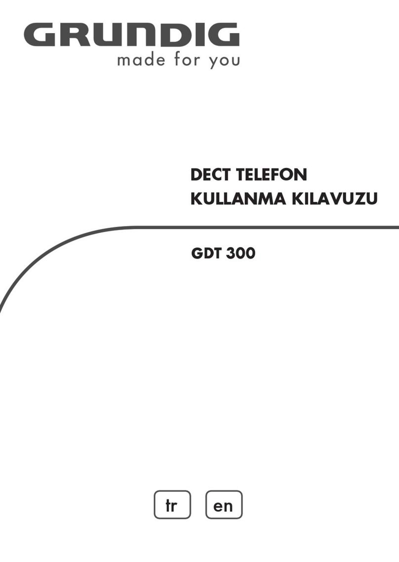 Grundig GDT 300 manual