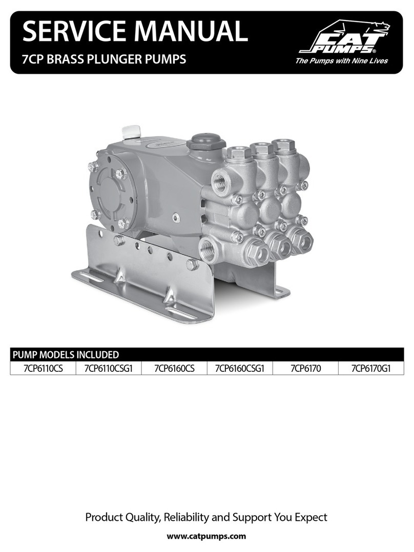 CAT Pumps 7CP6110CS Service manual