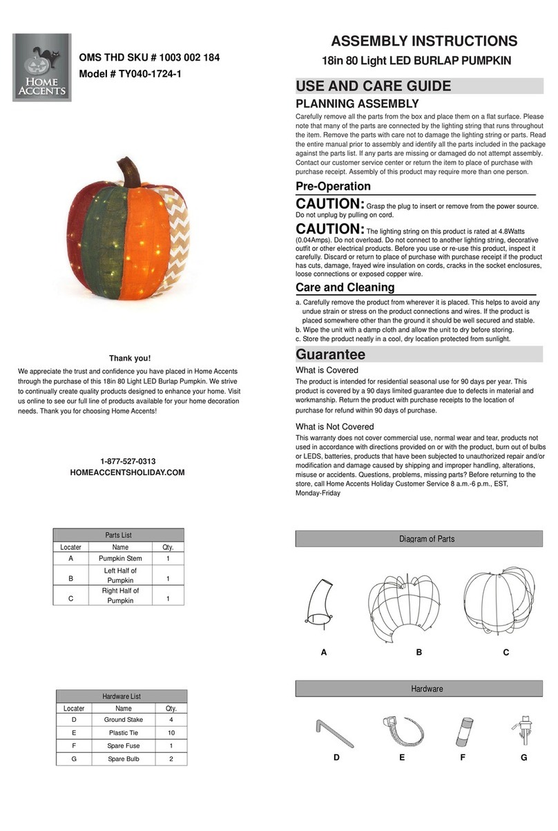 Home Accents TY040-1724-1 Assembly instructions