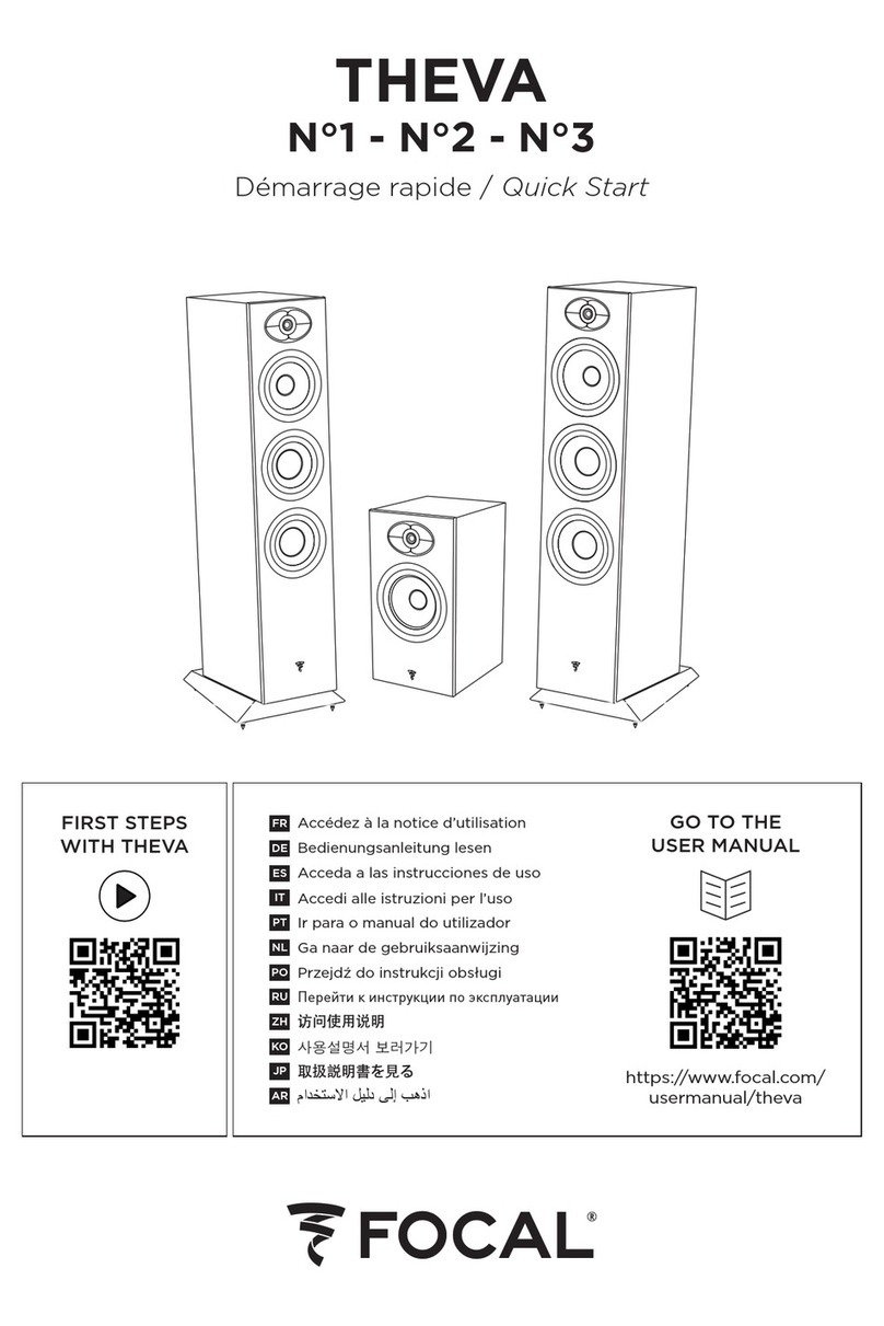 Focal THEVA N 1 User manual
