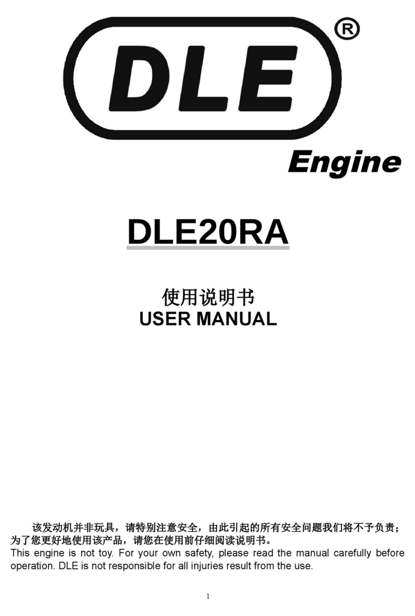 DLE 20 RA user manual