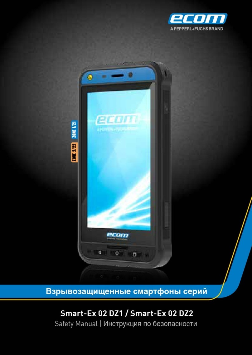 Pepperl+Fuchs Ecom Smart-Ex 02 DZ2 Safety manual