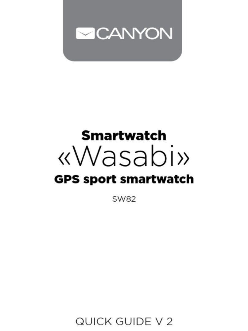 Canyon SW82 quick guide