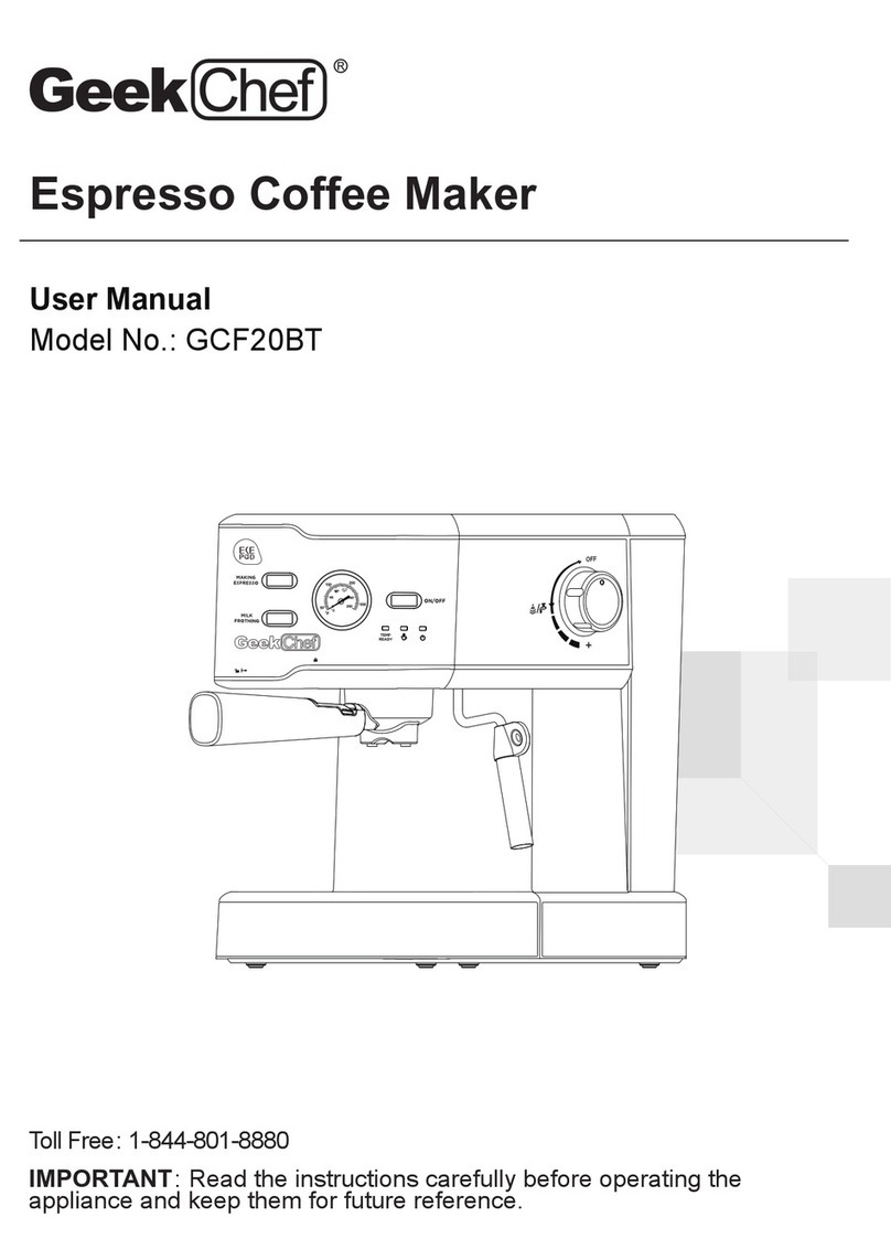 GeekChef GCF20BT User manual