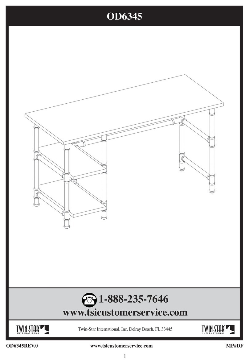 Twin-Star International OD6345 manual