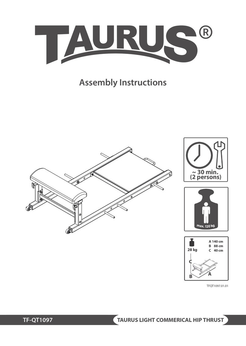 Taurus TF-QT1097 User manual
