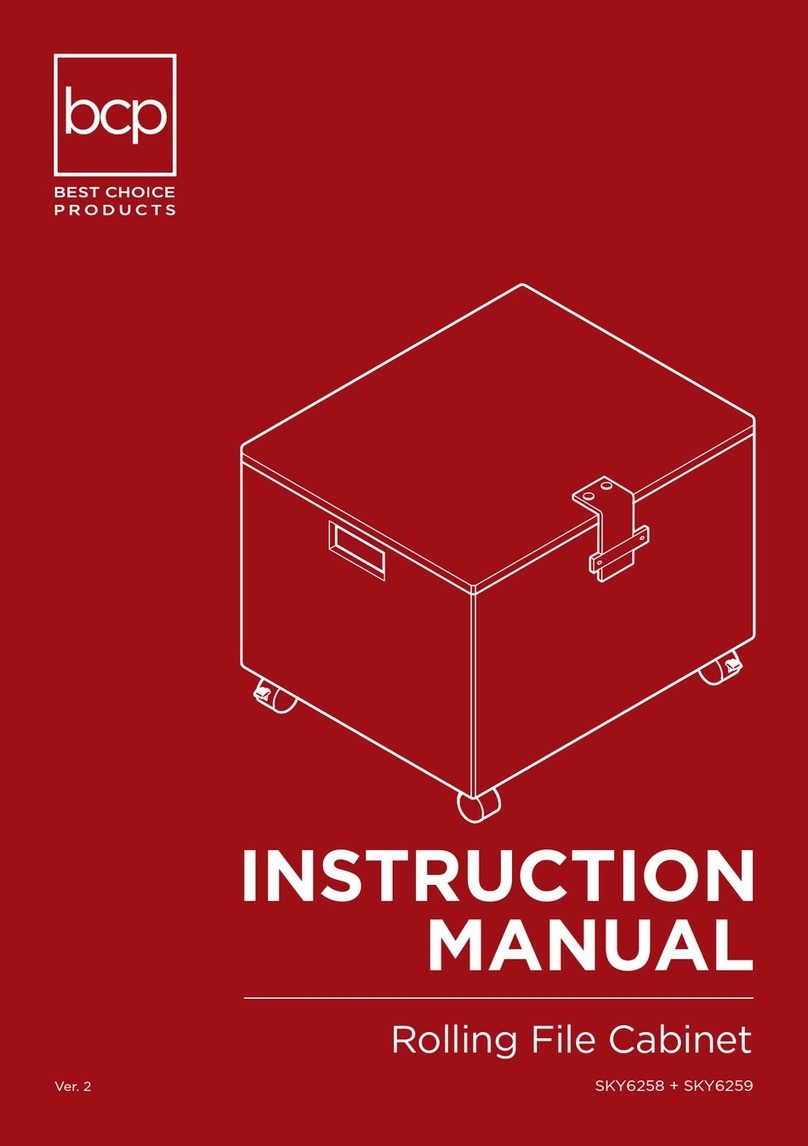 BCP SKY6258 instruction manual