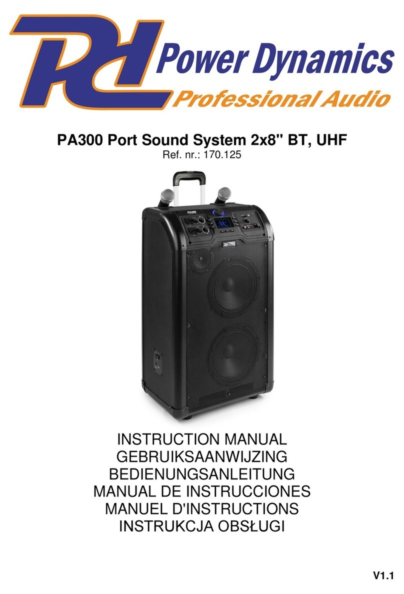 Power Dynamics PA300 User manual