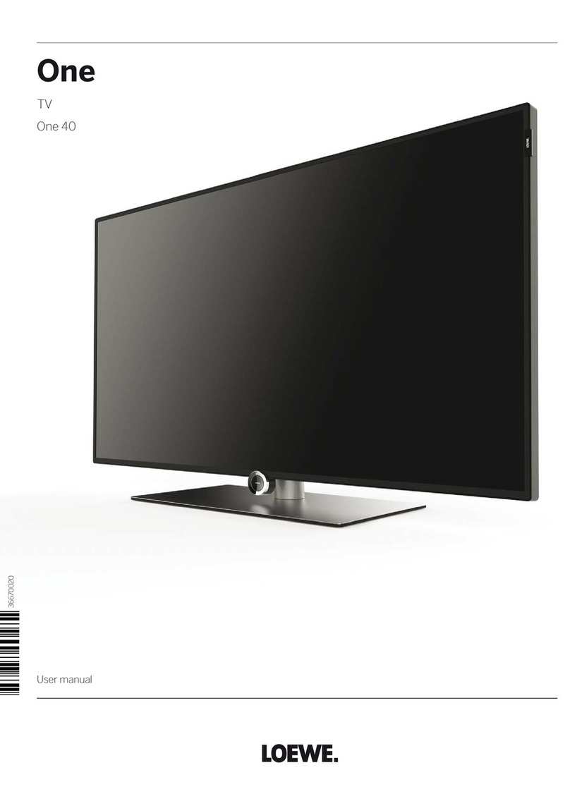Loewe One User manual