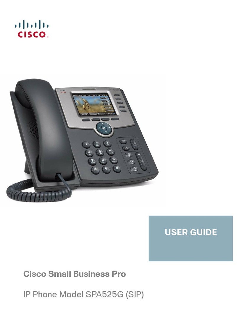 Cisco Small Business Pro User manual