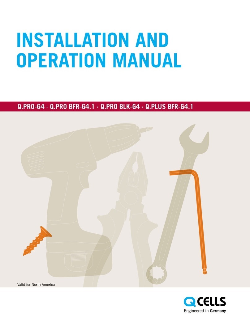 Qcells Q.PRO BFR-G4.1 User manual