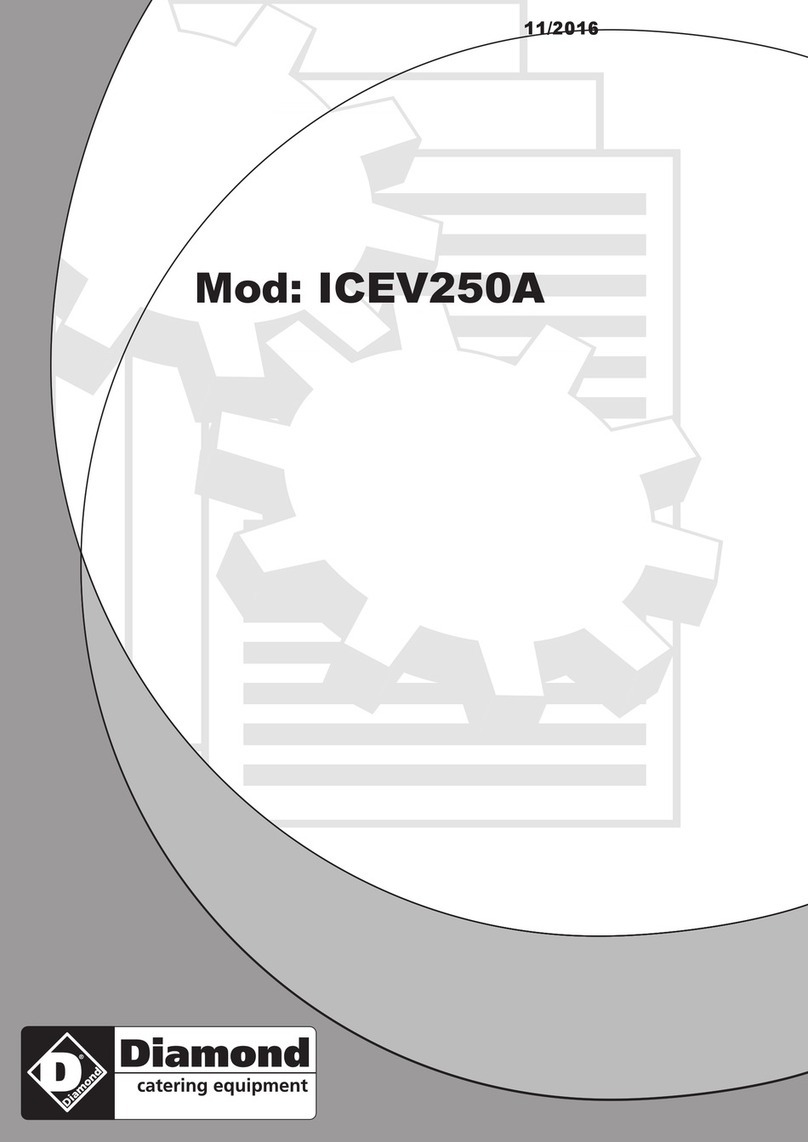 Diamond ICEV250A Service manual
