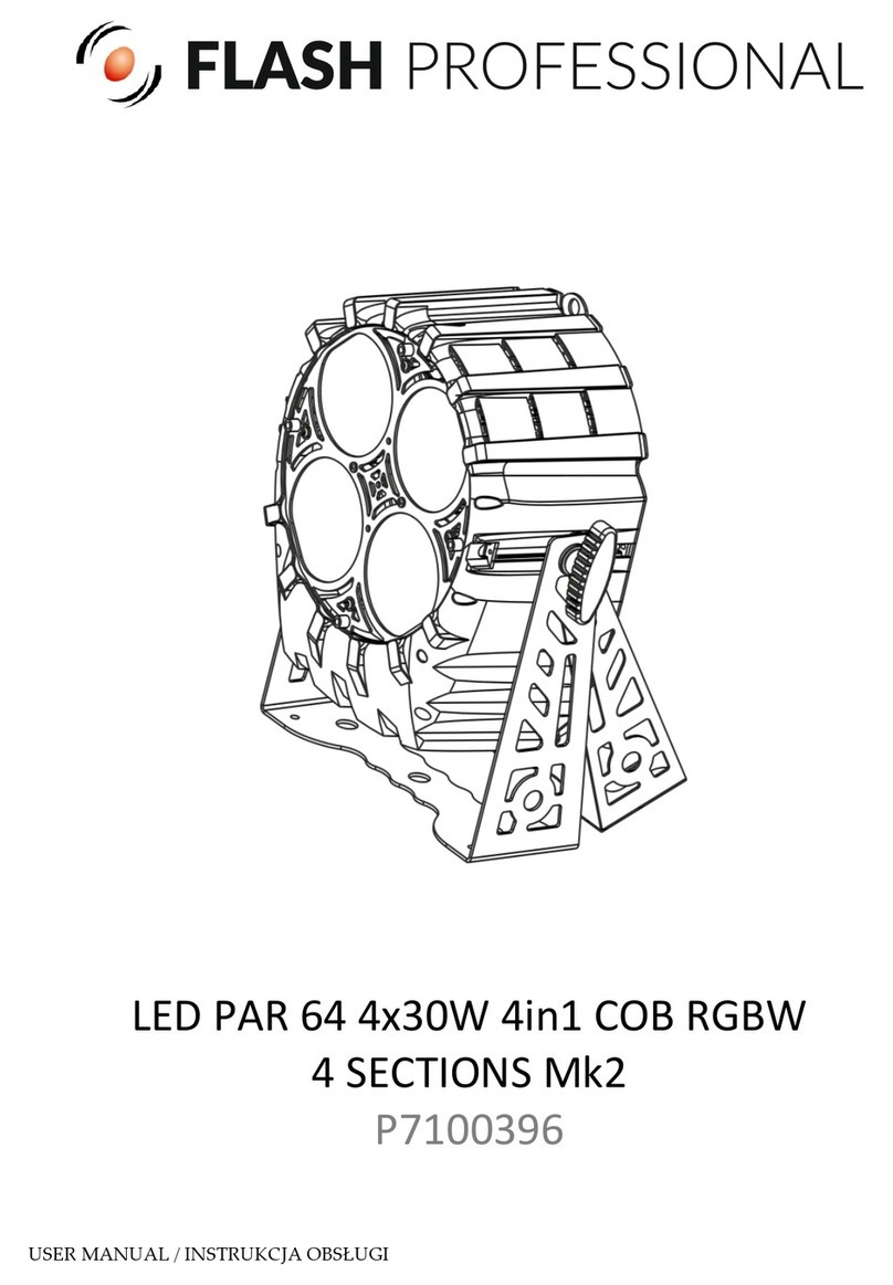 Flash professional P7100396 User manual