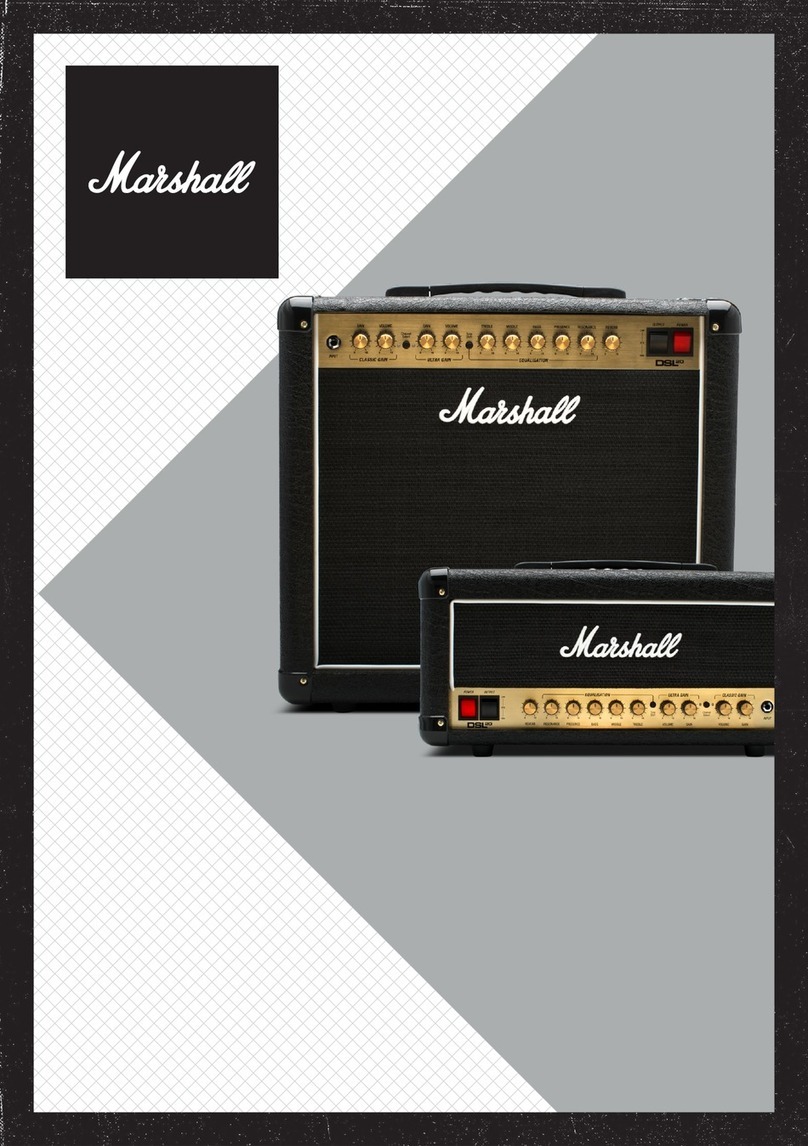 Marshall Amplification DSL20CR User manual