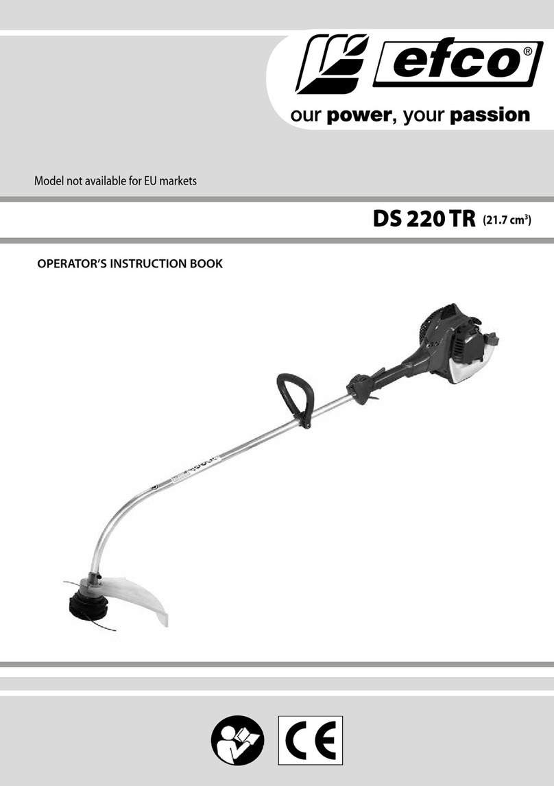 Efco DS 220 TR Manual
