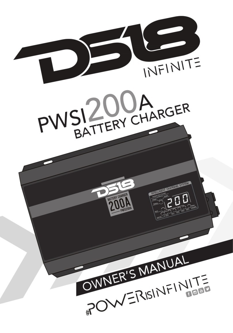 DS18 INFINITE PWSI200A User manual