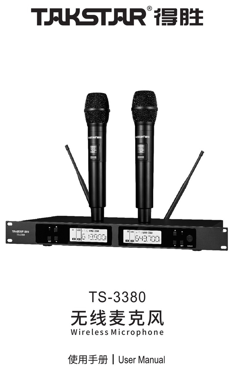 Takstar TS-3380 user manual