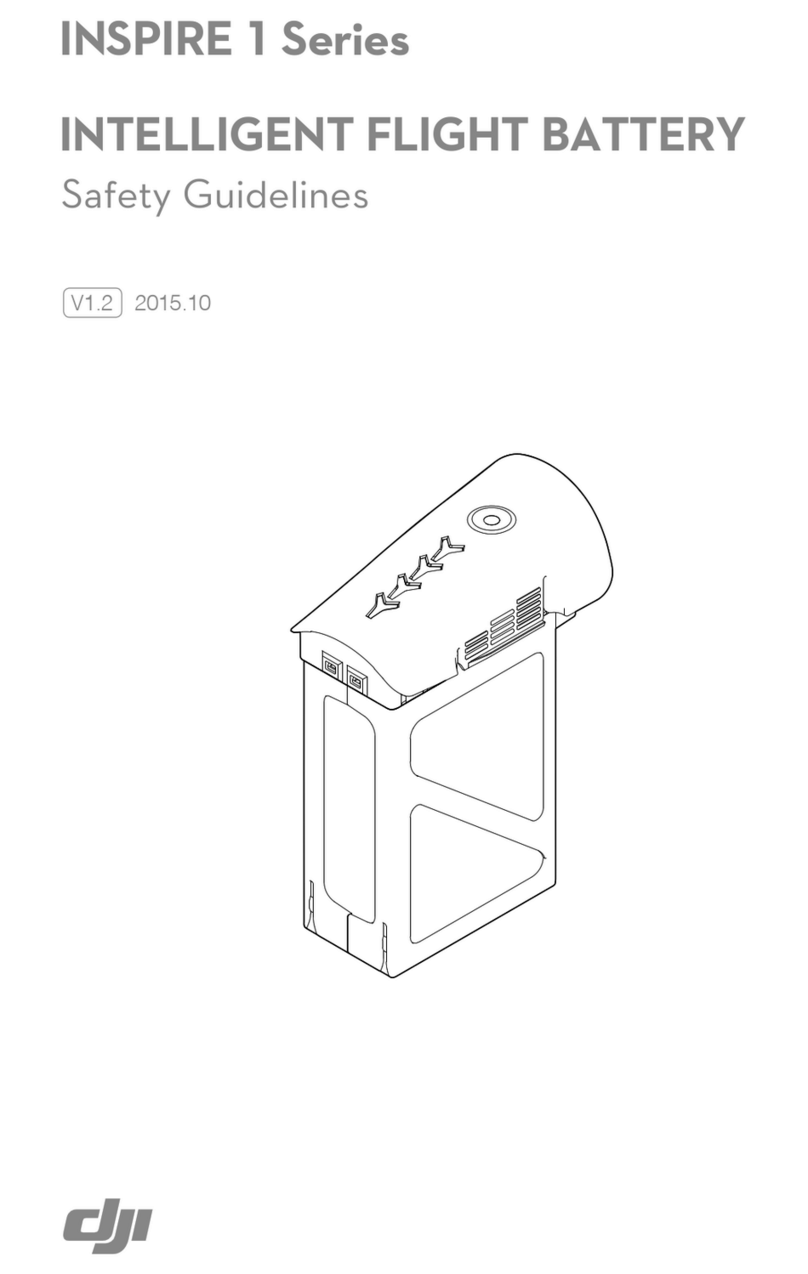 dji INSPIRE 1 Series Safety Guidelines