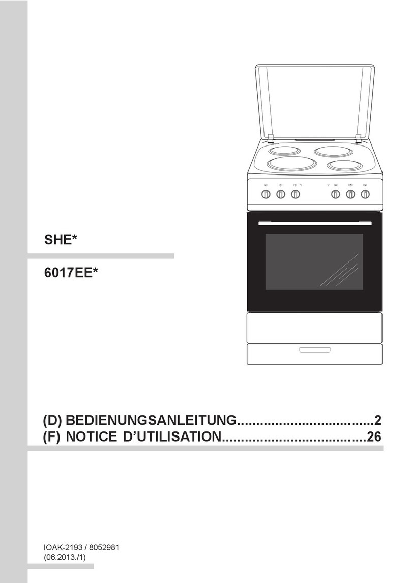 Amica SHE Series instruction manual