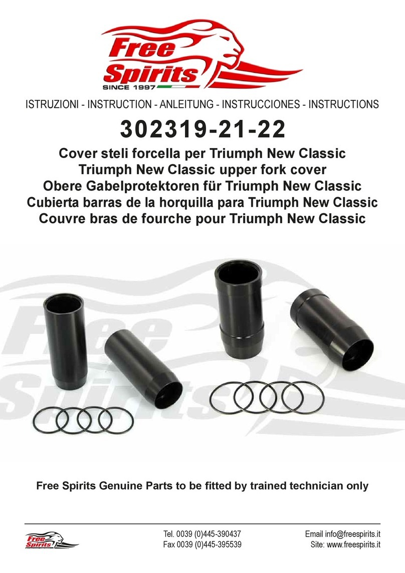 Free Spirits 302319 instructions