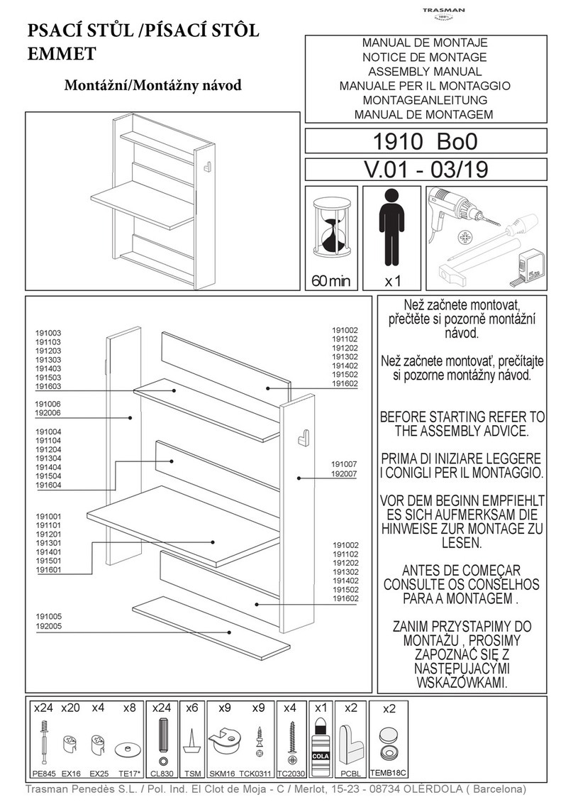 Trasman EMMET 1910 Assembly manual
