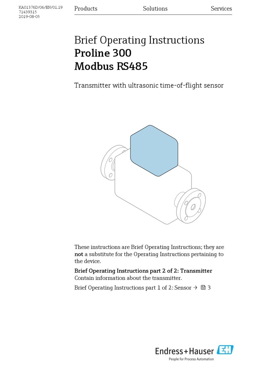 Endress+Hauser Proline 300 Modbus RS485 Technical specifications
