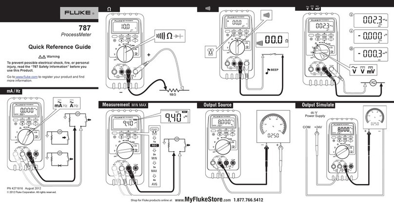 Fluke ProcessMeter 787 User manual
