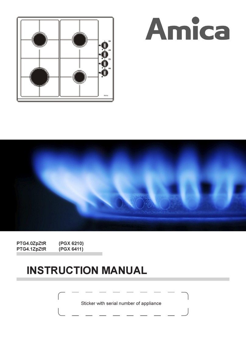 Amica PGX 6210 User manual