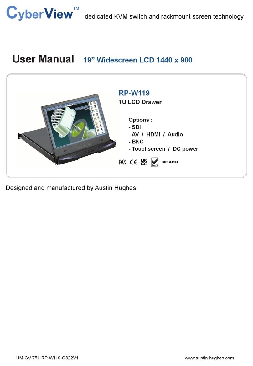 Austin Hughes CyberView RP-W119 User manual