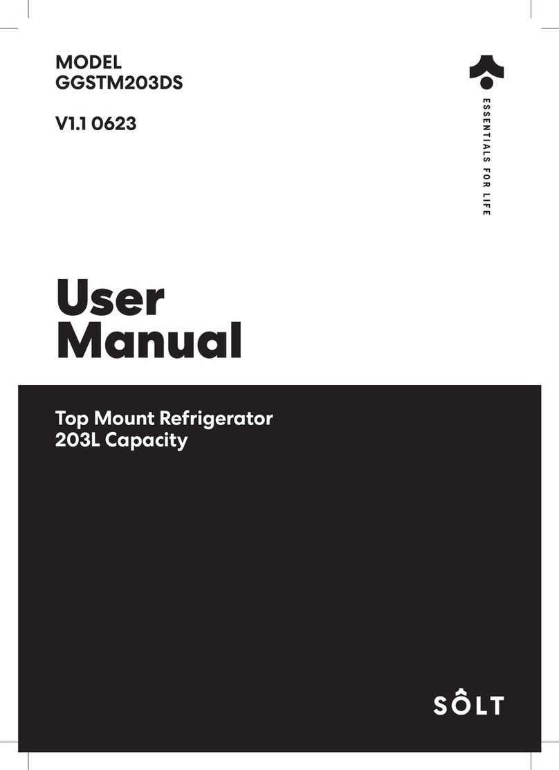 Solt GGSTM203DS user manual