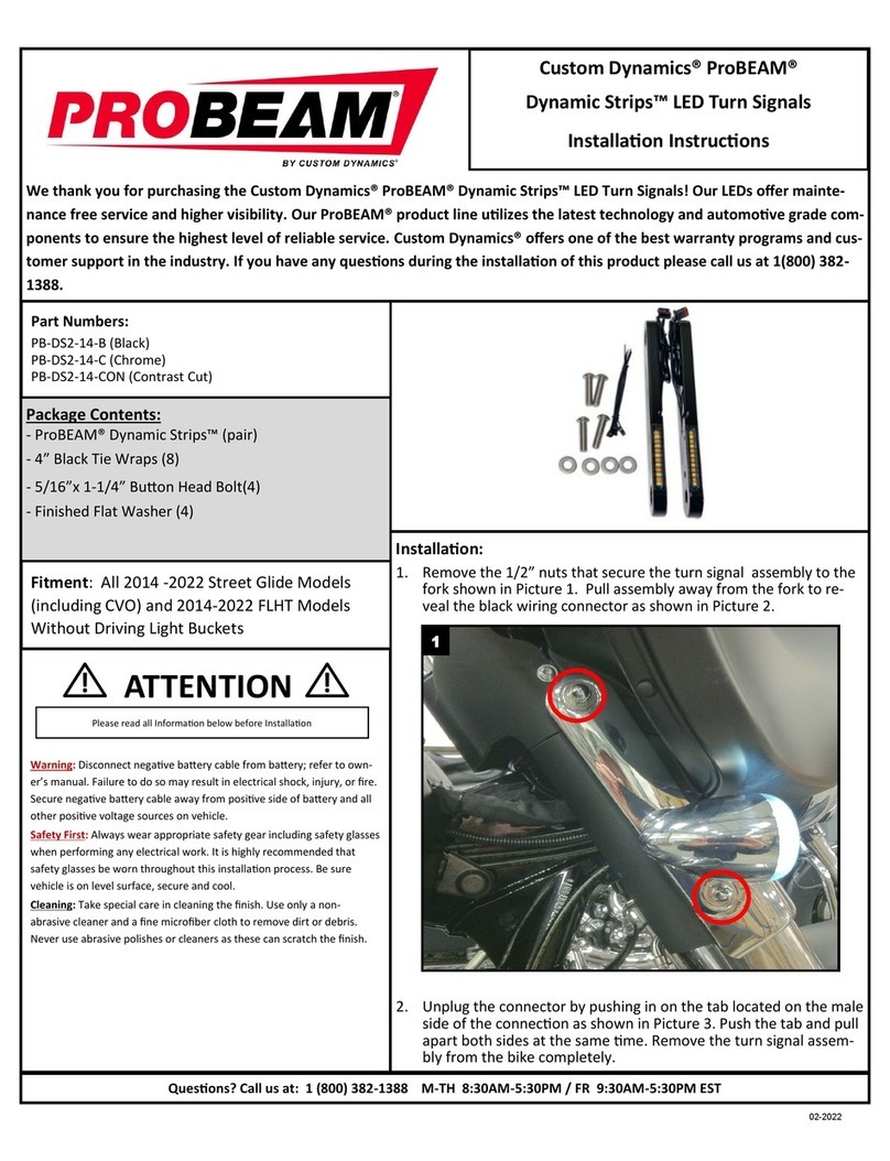 Custom Dynamics ProBEAM Dynamic Strips User manual