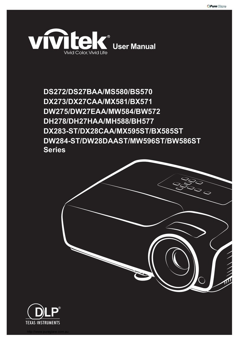 Vivitek DS272 User manual