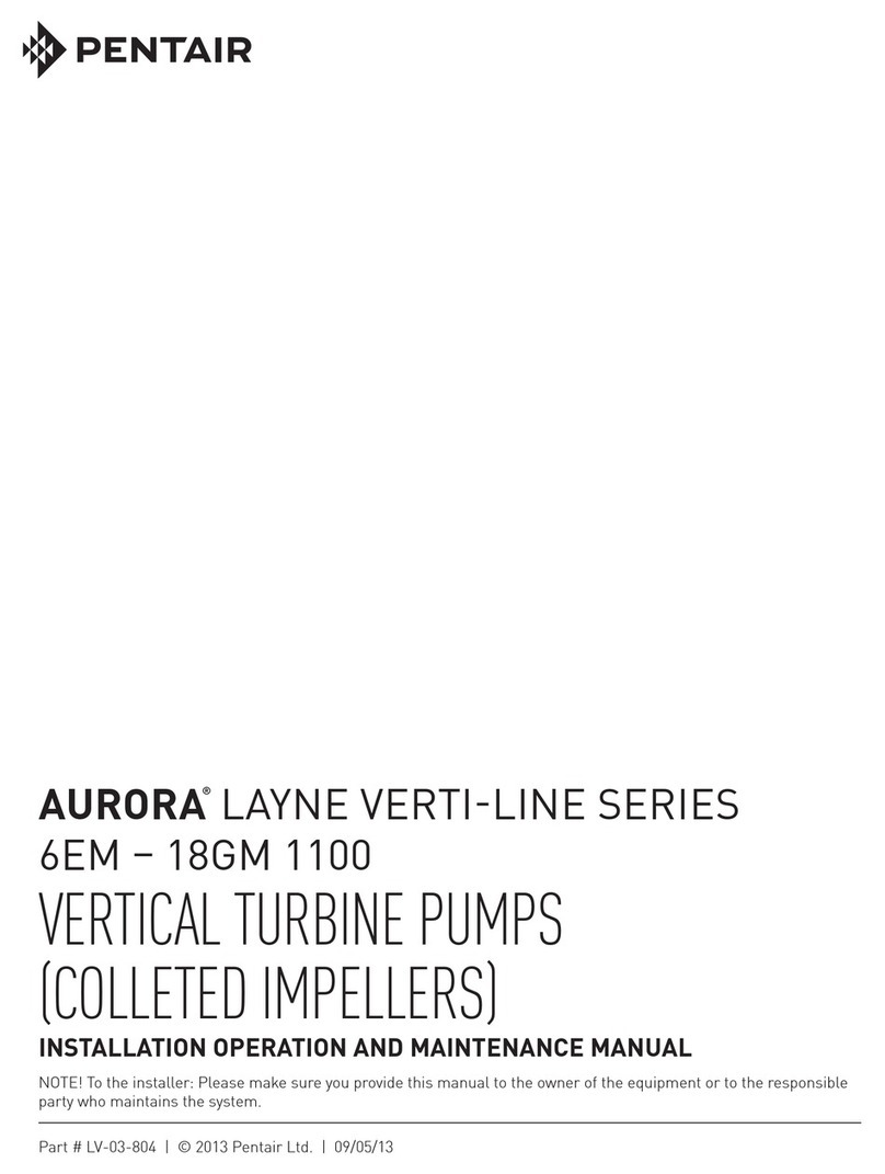 Pentair AURORA LAYNE VERTI-LINE Series User manual