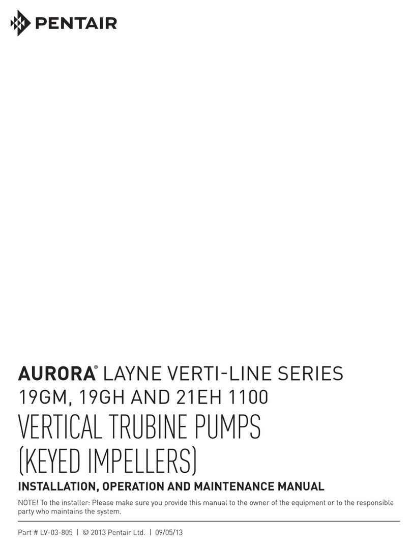 Pentair AURORA LAYNE VERTI-LINE Series User manual
