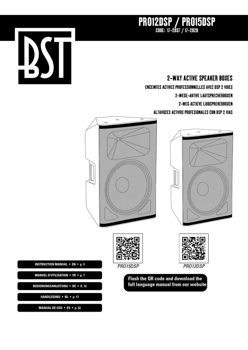 BST PRO12DSP instruction manual