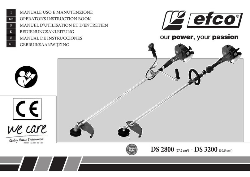 Efco DS 2800 Manual