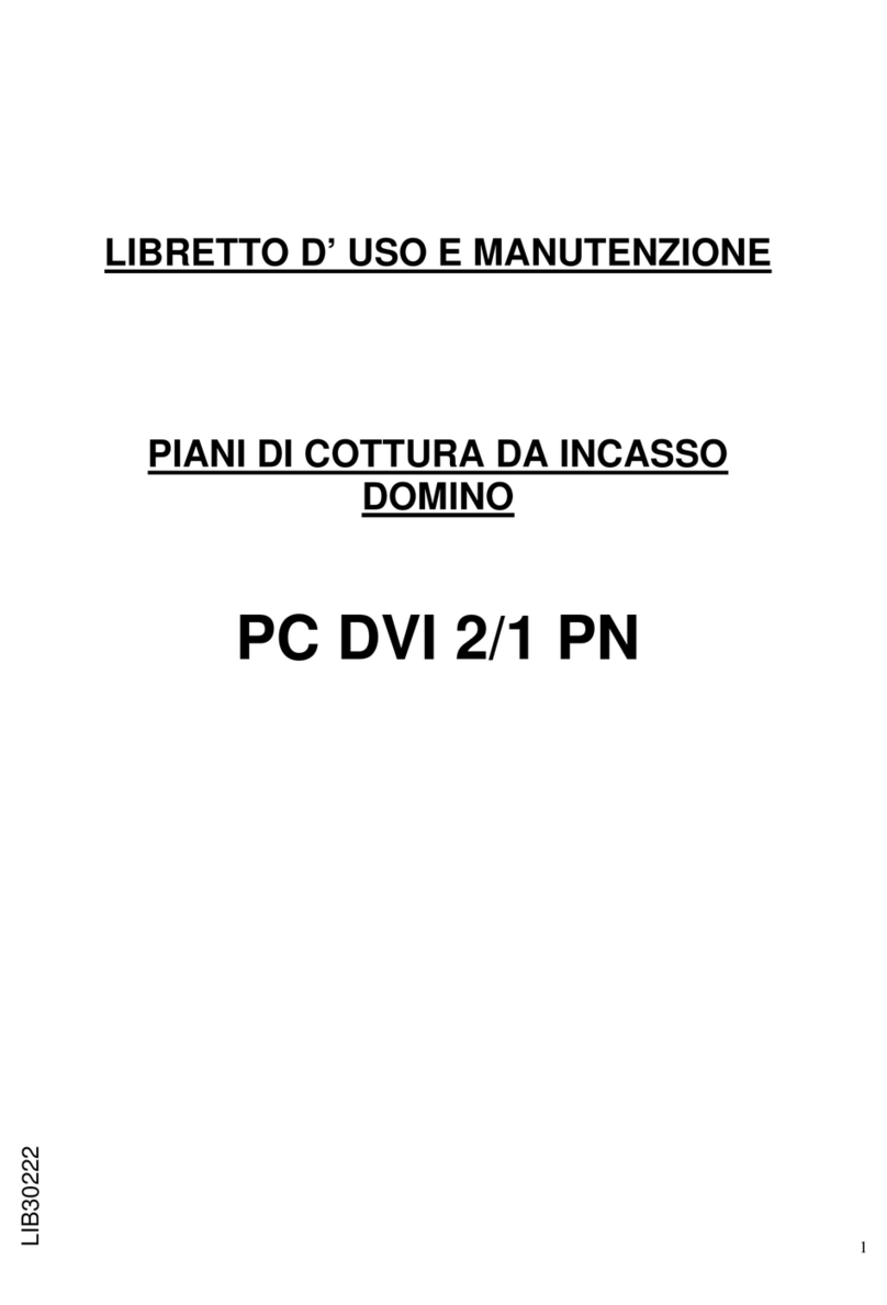 Domino PC DVI 2/1 PN Use and maintenance manual