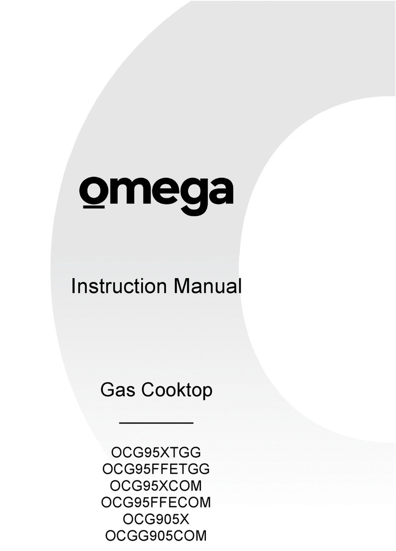 Omega OCGG905COM User manual Omega OCGG905COM User manual