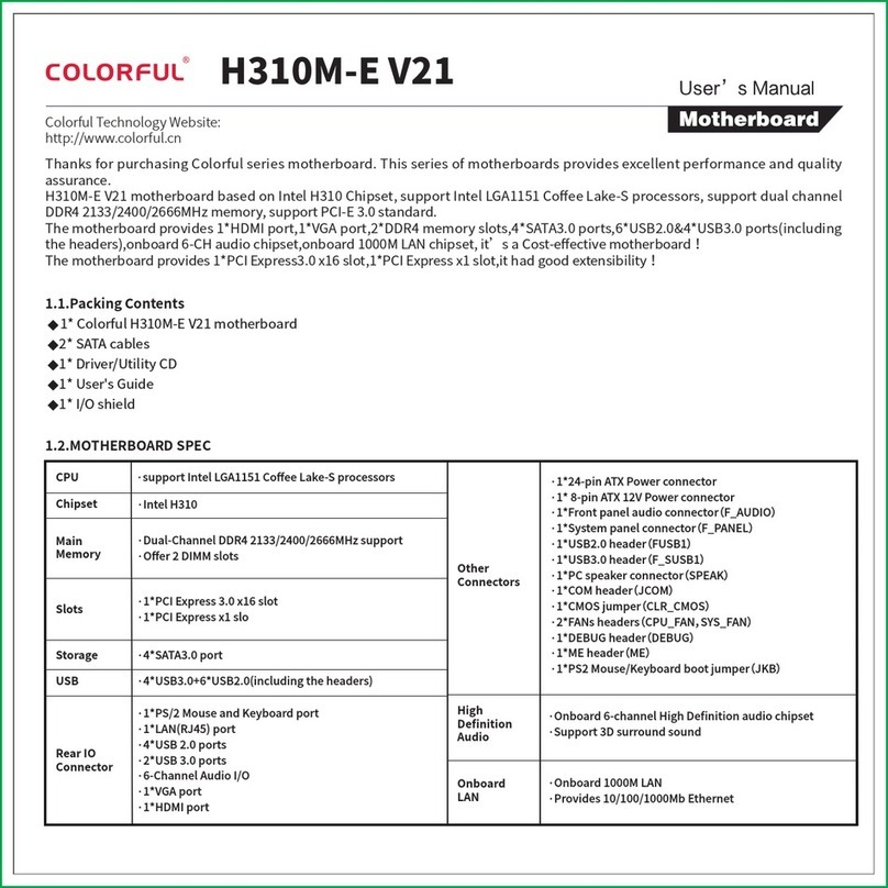 Colorful H310M-E V21 user manual